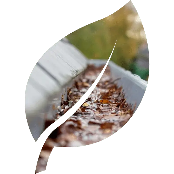 Gutter Cleaners in Devon and Somerset Side Image